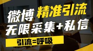 微博最新引流技术，软件提供博文评论采集+私信实现精准引流【揭秘】|淘骐网赚资源库