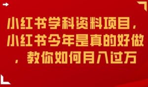小红书学科资料项目,小红书今年是真的好做,教你如何月入过万【揭秘】|淘骐网赚资源库