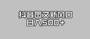 抖音图文最新风口，流量扶持非常高，日入500+【揭秘】|淘骐网赚资源库