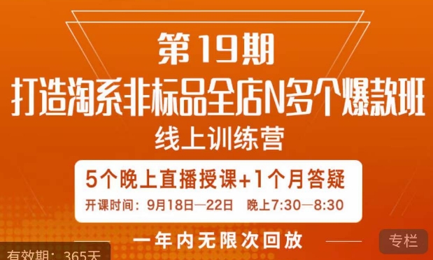 打造淘系非标全店N多个爆款线上课,5天直播课|淘骐网赚资源库