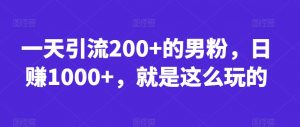 一天引流200+的男粉,日赚1000+,就是这么玩的【揭秘】|淘骐网赚资源库