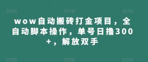 wow自动搬砖打金项目,全自动脚本操作,单号日撸300+,解放双手【揭秘】|淘骐网赚资源库