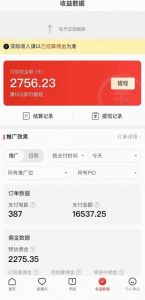 拼多多无人直播不封号玩法，0投入，3天必起，日入1000+|淘骐网赚资源库