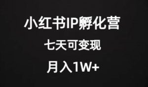 价值2000+的小红书IP孵化营项目,超级大蓝海,七天即可开始变现,稳定月入1W+|淘骐网赚资源库
