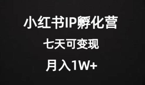 价值2000+的小红书IP孵化营项目,超级大蓝海,七天即可开始变现,稳定月入1W+|淘骐网赚资源库