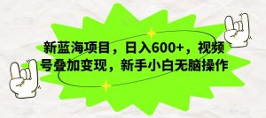 新蓝海项目，日入600+，视频号叠加变现，新手小白无脑操作【揭秘】|淘骐网赚资源库