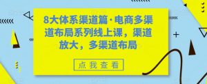 8大体系渠道篇·电商多渠道布局系列线上课，渠道放大，多渠道布局|淘骐网赚资源库