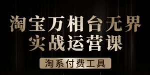 沧海·淘系万相台无界实战运营课，万相台无界实操全案例解析|淘骐网赚资源库