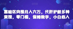 靠暗区突围月入六万，代肝护航多种变现，零门槛，保姆教学，小白必入【揭秘】|淘骐网赚资源库