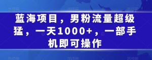 蓝海项目，男粉流量超级猛，一天1000+，一部手机即可操作【揭秘】|淘骐网赚资源库
