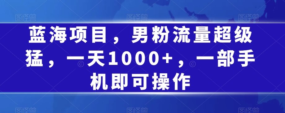 蓝海项目，男粉流量超级猛，一天1000+，一部手机即可操作【揭秘】|淘骐网赚资源库