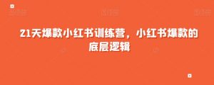 21天爆款小红书训练营，小红书爆款的底层逻辑|淘骐网赚资源库