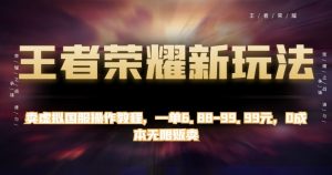 王者荣耀新玩法，卖虚拟国服操作教程，一单6.88-99.99元，0成本无限贩卖【揭秘】|淘骐网赚资源库