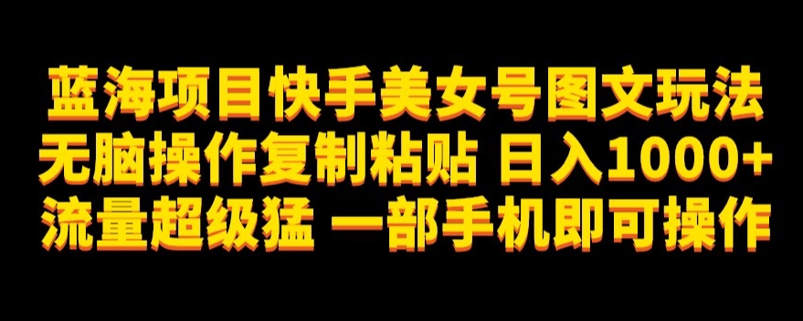 蓝海项目快手美女号图文玩法,无脑操作复制粘贴,日入1000+流量超级猛一部手机即可操作【揭秘】|淘骐网赚资源库