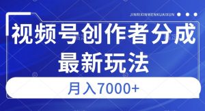 视频号广告分成新方向，作品制作简单，篇篇爆火，半月收益3000+【揭秘】|淘骐网赚资源库