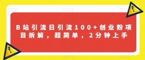 B站引流日引流100+创业粉项目拆解,超简单,2分钟上手【揭秘】|淘骐网赚资源库