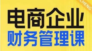 电商企业财务管理线上课,为电商企业规划财税|淘骐网赚资源库