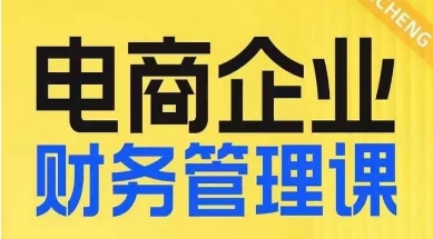 电商企业财务管理线上课,为电商企业规划财税|淘骐网赚资源库
