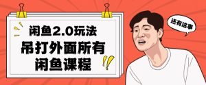 闲鱼2.0玩法单号每天日入2000，吊打市面所有课程|淘骐网赚资源库