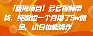 【蓝海项目】多多视频带货,纯搬运一个月搞了5w佣金,小白也能操作【揭秘】|淘骐网赚资源库