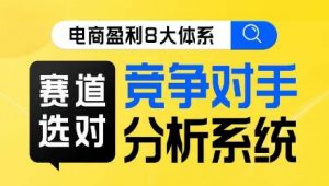 电商盈利8大体系·赛道选对,竞争对手分析系统线上课|淘骐网赚资源库