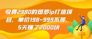收费2980的塔罗ip打造项目，单价198-999不等，5天赚了2000块【揭秘】|淘骐网赚资源库