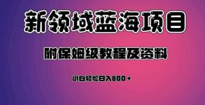 虚拟资源蓝海领域新项目，轻松日入800＋，附保姆级教程及资料|淘骐网赚资源库