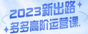 大炮·多多高阶运营课，3大玩法助力打造爆款，实操玩法直接亮出干货|淘骐网赚资源库