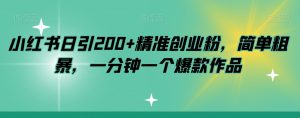 小红书日引200+精准创业粉，简单粗暴，一分钟一个爆款作品【揭秘】|淘骐网赚资源库