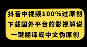 抖音中视频百分百过原创,下载国外平台的电影解说,一键翻译成中文获取收益|淘骐网赚资源库