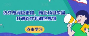 达芬奇调色思维，商业项目实操，打通软件和调色思维|淘骐网赚资源库