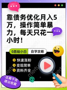 靠债务优化月入五万，每天只要花两个小时，多种方式轻松变现【揭秘】|淘骐网赚资源库