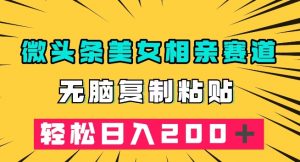 微头条冷门美女相亲赛道，无脑复制粘贴，轻松日入200＋【揭秘】|淘骐网赚资源库