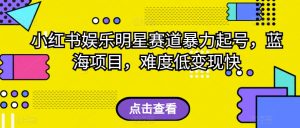 小红书娱乐明星赛道暴力起号，蓝海项目，难度低变现快【揭秘】|淘骐网赚资源库