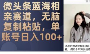 微头条蓝海相亲赛道,无脑复制粘贴,单账号日入100+|淘骐网赚资源库