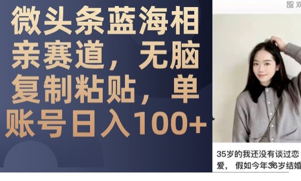 微头条蓝海相亲赛道,无脑复制粘贴,单账号日入100+|淘骐网赚资源库