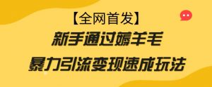 【全网首发】新手通过薅羊毛暴力引流变现速成玩法|淘骐网赚资源库