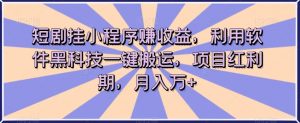 短剧挂小程序赚收益,利用软件黑科技一键搬运,项目红利期,月入万+【揭秘】|淘骐网赚资源库
