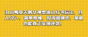 丑小鸭变天鹅女神塑造小红书玩法，月入5万+，简单易懂，按流程操作，草根也能真正实现逆袭！|淘骐网赚资源库