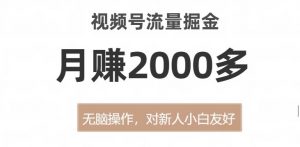 视频号流量掘金，无脑操作，对新人小白友好，月赚2000多【揭秘】|淘骐网赚资源库