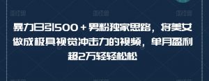 暴力日引500+男粉独家思路,将美女做成极具视觉冲击力的视频,单月盈利超2万轻轻松松|淘骐网赚资源库