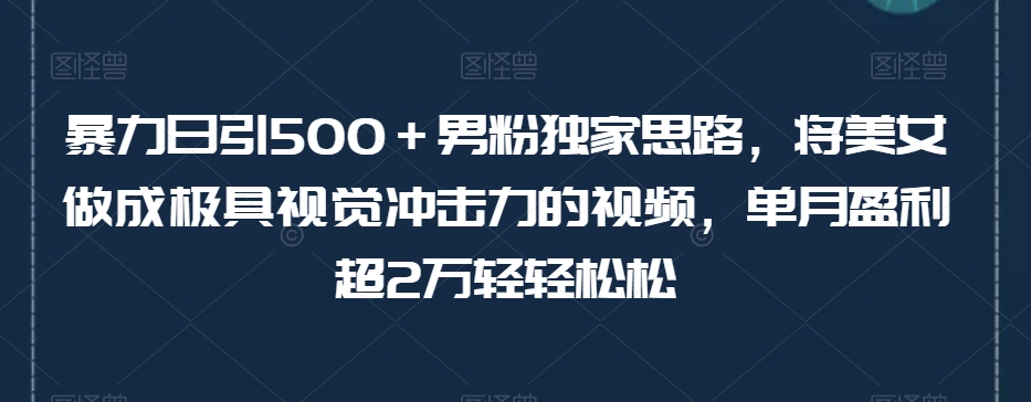 暴力日引500+男粉独家思路,将美女做成极具视觉冲击力的视频,单月盈利超2万轻轻松松|淘骐网赚资源库