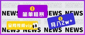 简单粗暴零成本，高回报，全网视频VIP掘金项目，月入2万＋【揭秘】|淘骐网赚资源库