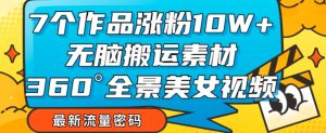 7个作品涨粉10W+，无脑搬运素材，全景美女视频爆款玩法分享【揭秘】|淘骐网赚资源库