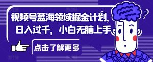 视频号蓝海领域掘金计划，日入过千，小白无脑上手【揭秘】|淘骐网赚资源库