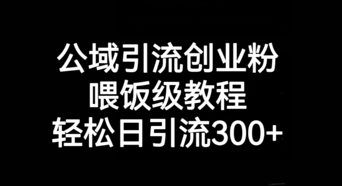 公域引流创业粉，喂饭级教程，轻松日引流300+【揭秘】|淘骐网赚资源库