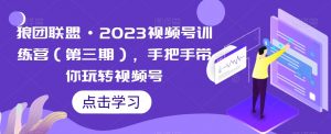 狼团联盟·2023视频号训练营(第三期),手把手带你玩转视频号|淘骐网赚资源库