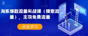 淘系爆款流量实战课（搜索流量），主攻免费流量|淘骐网赚资源库