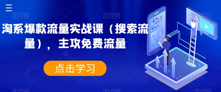 淘系爆款流量实战课(搜索流量),主攻免费流量|淘骐网赚资源库