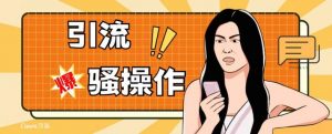 最新引流骚操作，单账号日引50-100，简单粗暴，适合于小白各行各业都可以进行操作，精准粉丝加到爆|淘骐网赚资源库